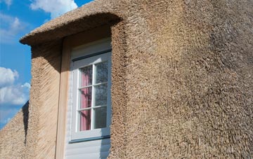 Adeyfield thatch roof disadvantages